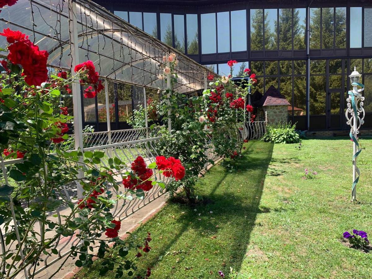 Hotel Complex Lenivaya Vera Novaki Екстериор снимка